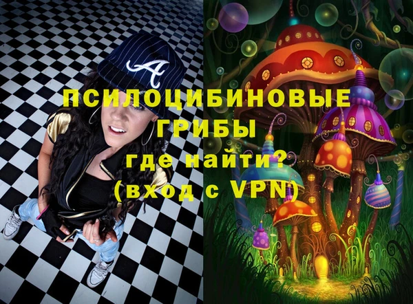 a pvp Богданович