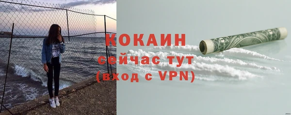 сатива Белокуриха