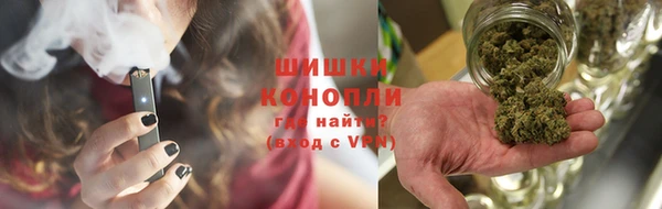 сатива Богородицк